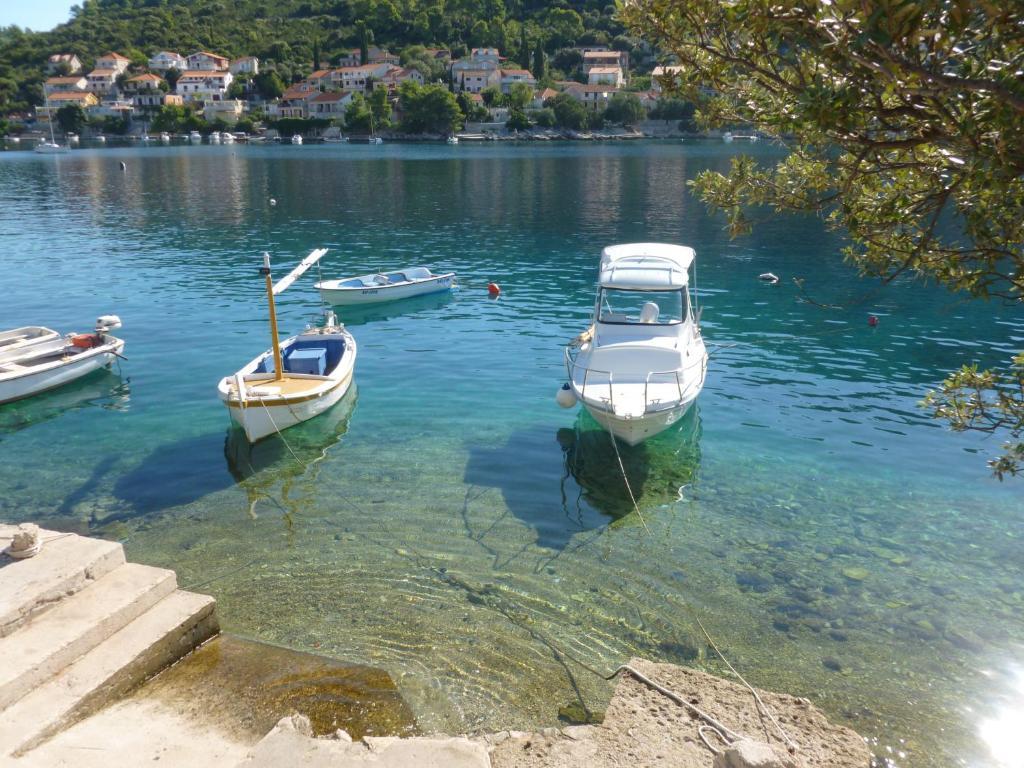 Apartments Boris Smokvica (Korcula) Exterior foto